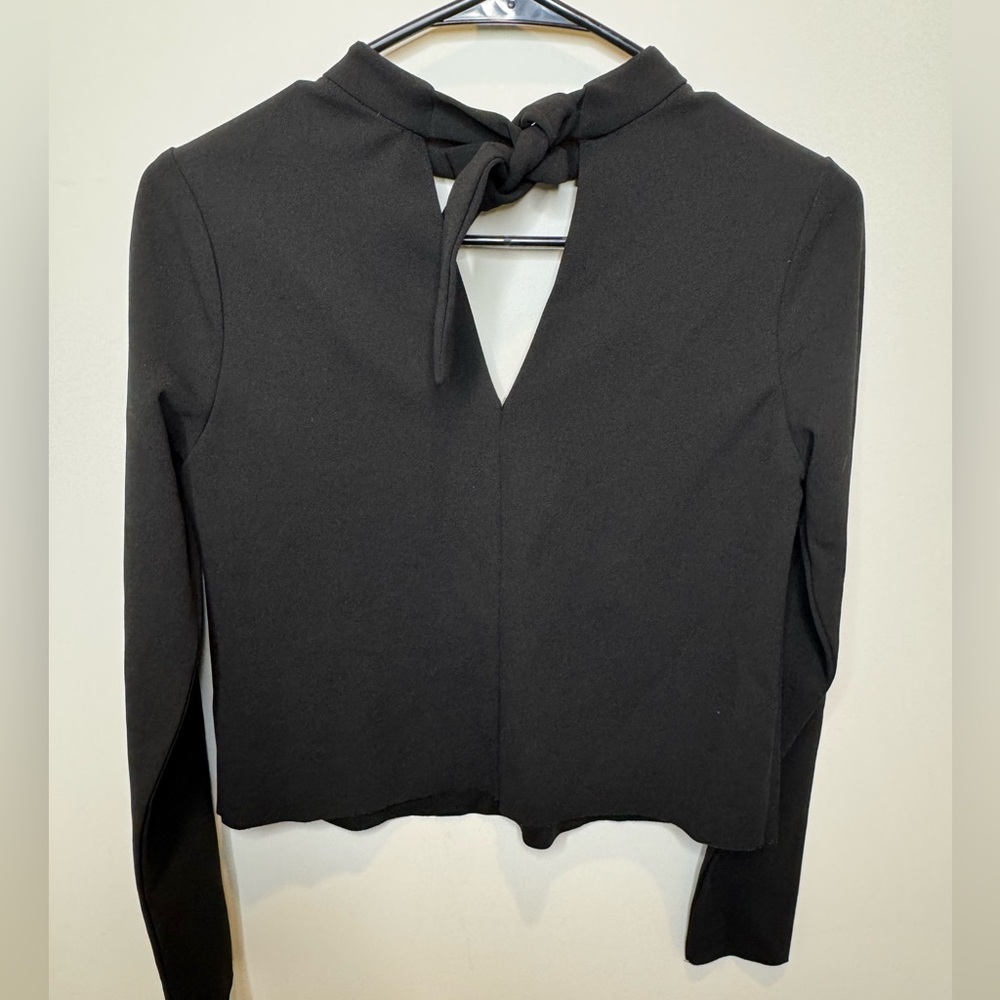 Zara W&B Collection Black Long Sleeved Crop Top with Choker Tie – Women’s Small